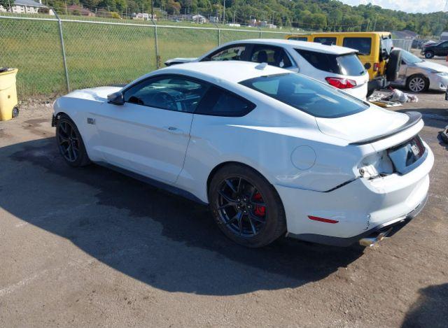 thumb 12