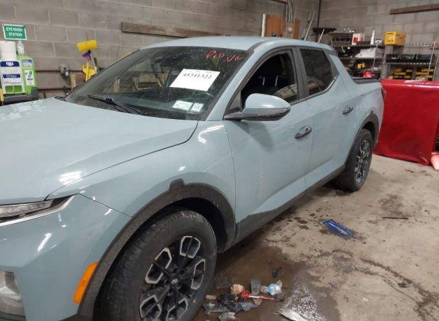 thumb 13