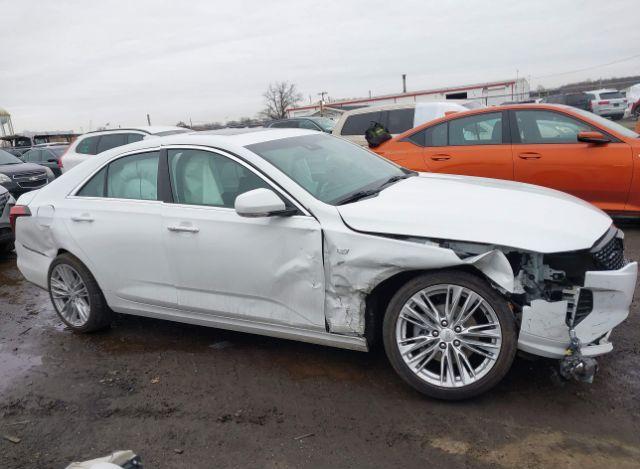 thumb 4