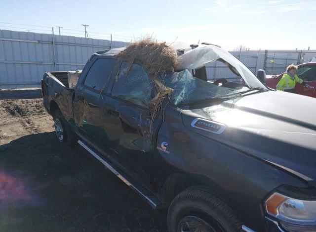 thumb 13