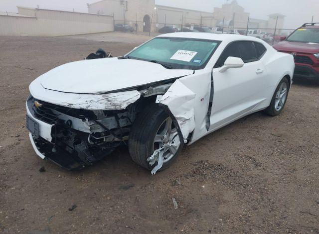 thumb 11