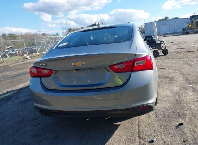 thumb 7