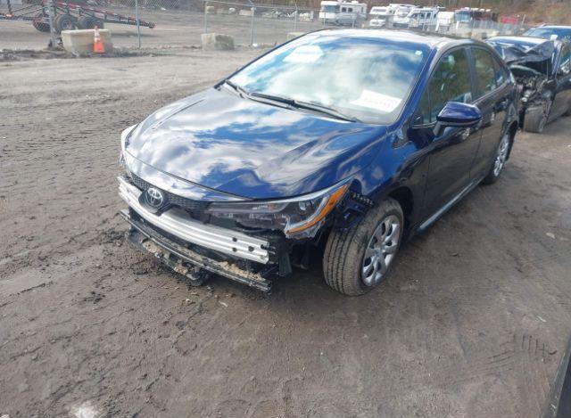 thumb 12