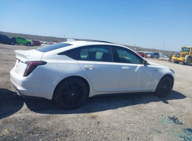 thumb 4