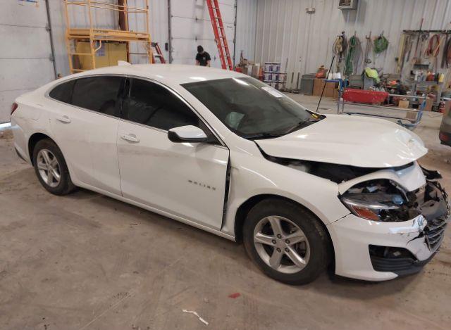thumb 7