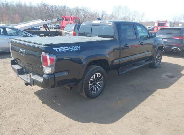 thumb 12