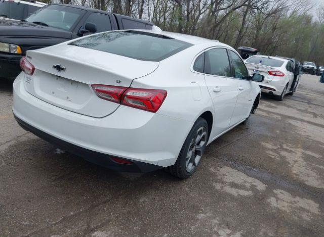 thumb 15