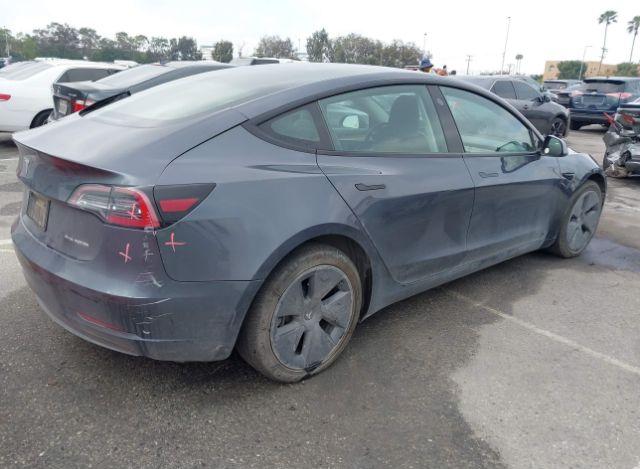 thumb 13