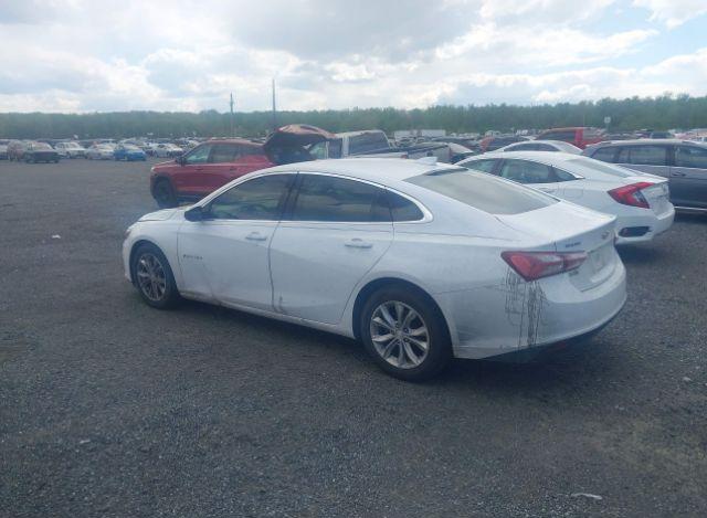 thumb 10