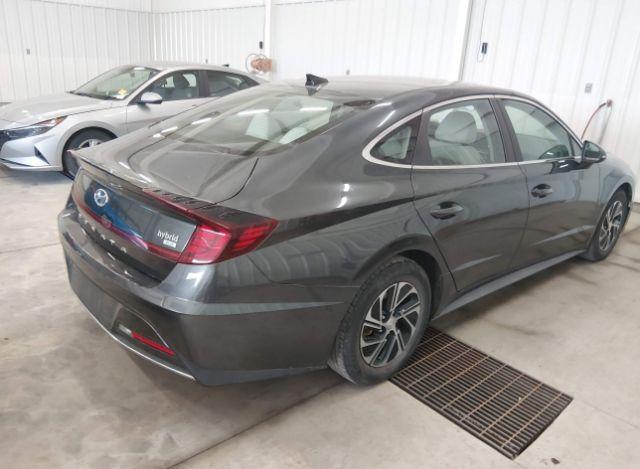thumb 11