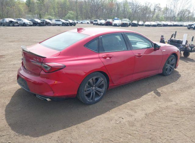 thumb 12