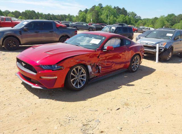 thumb 11