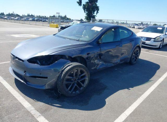 thumb 11