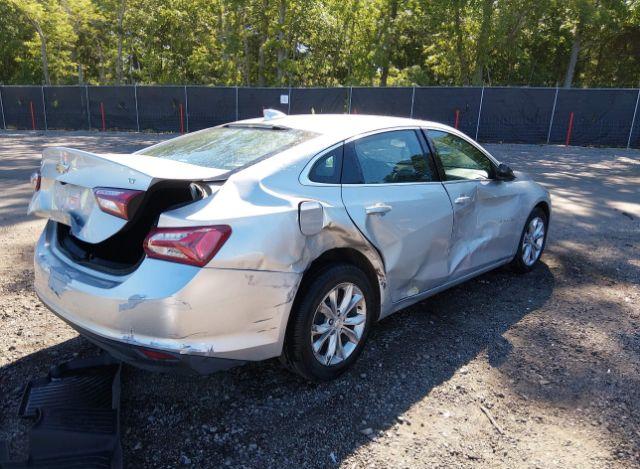 thumb 11