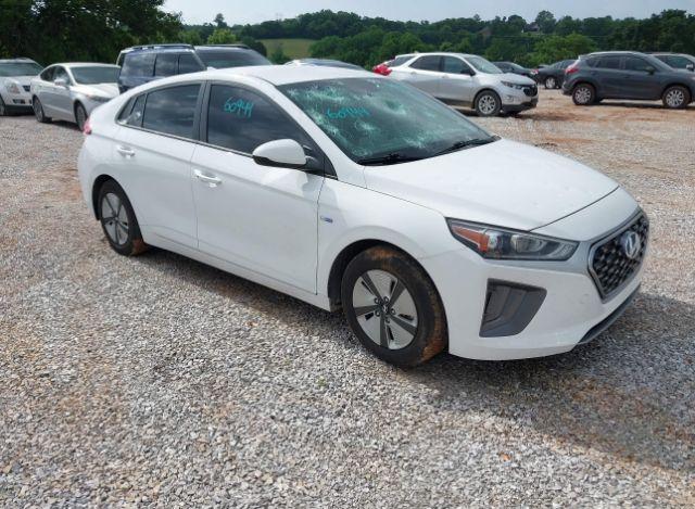 thumb 11