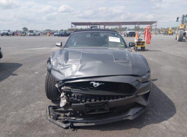 thumb 13
